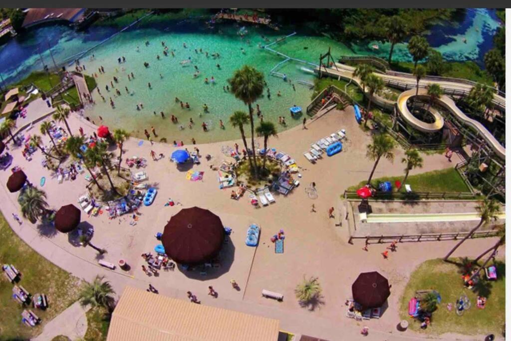 Manatee Oasis Weeki Wachee Family Fun Pool Home Spring Hill Zewnętrze zdjęcie