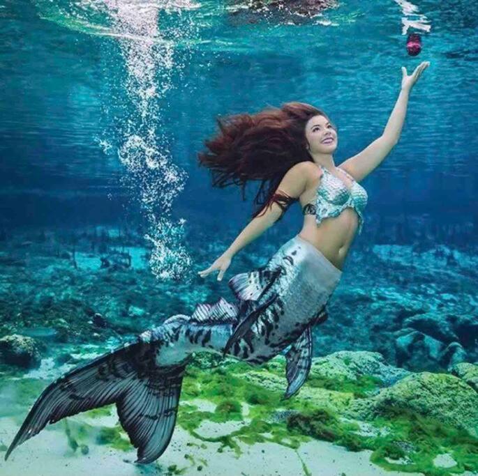 Manatee Oasis Weeki Wachee Family Fun Pool Home Spring Hill Zewnętrze zdjęcie