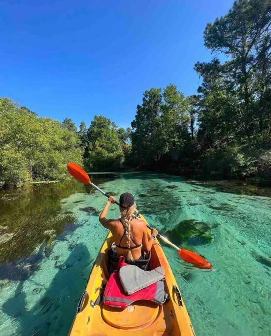 Manatee Oasis Weeki Wachee Family Fun Pool Home Spring Hill Zewnętrze zdjęcie